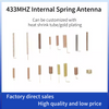 Spring Antenna