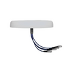  Indoor Distributed System MIMO Omni Antenna GL-DY7040V43