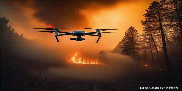 Drone forest fire prevention