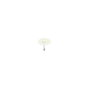 Dimensions-mm Φ300×11 Indoor Ceiling Antenna