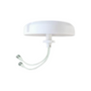 617–6000MHz Wideband Indoor Ceiling Antenna
